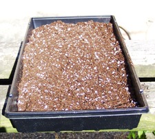  width=